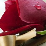 12 способов поздравить юбиляра на работе