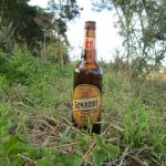 competitions and games for adults in nature