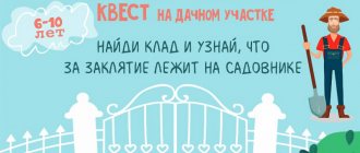 квест на день рождения ребенка