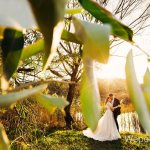 молодожены на берегу реки