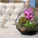 Подарок учителю на выпускной в 4 классе