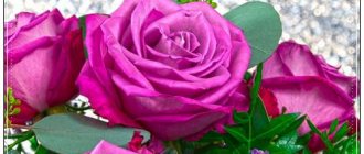Congratulations on your anniversary from the heart in your own words